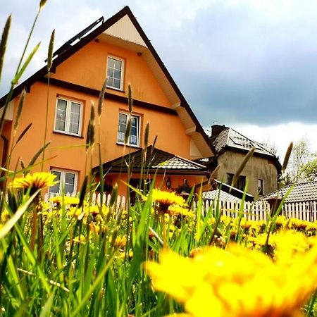 Dom Goscinny Orange Wysowa-Zdrój Dış mekan fotoğraf