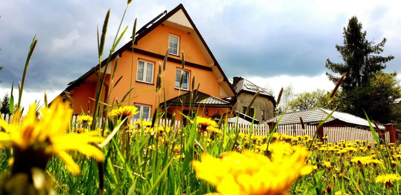 Dom Goscinny Orange Wysowa-Zdrój Dış mekan fotoğraf